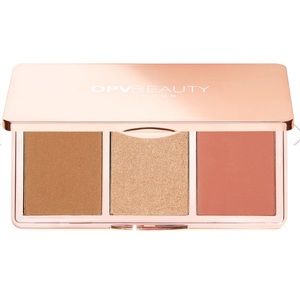 Glow Perfect Palette Shade 3
